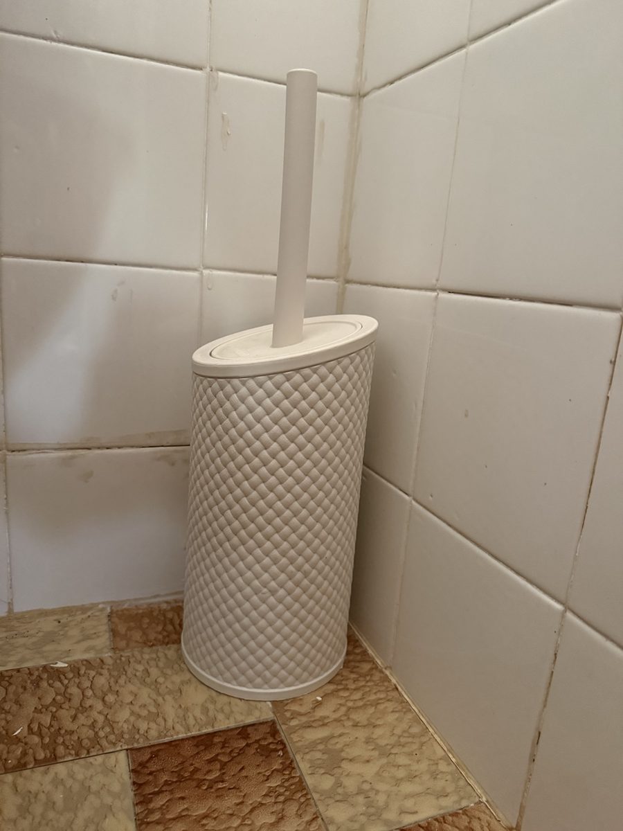 The Toilet Brush — the real object this placement goes on